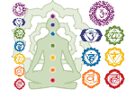 the chakra system