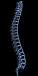 Spinal disorders